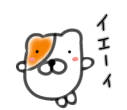 Ham Cat By Ken0902 Ham Cat By Ken0902
