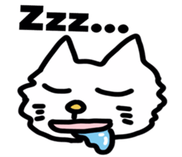 Funny Reaction Cat sticker #14193831