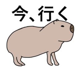 zooooooo sticker #14196328