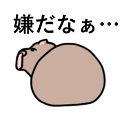 zooooooo sticker #14196331