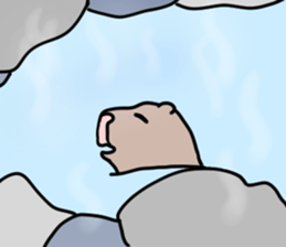 zooooooo sticker #14196332