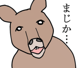 zooooooo sticker #14196334