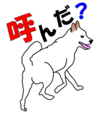 maruma 2 sticker #14196712