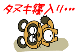 Raccoon dog and his friends sticker #14198244