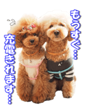 Lingurifan sticker #14199254