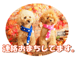 Lingurifan sticker #14199255