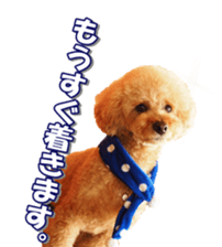 Lingurifan sticker #14199256