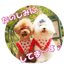 Lingurifan sticker #14199257