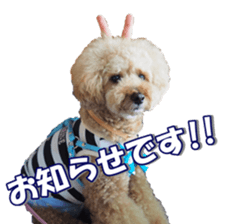 Lingurifan sticker #14199258