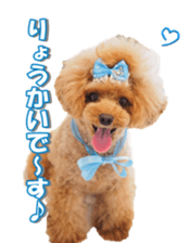 Lingurifan sticker #14199259