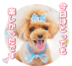 Lingurifan sticker #14199260