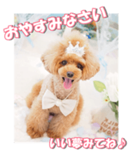 Lingurifan sticker #14199261