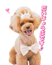 Lingurifan sticker #14199263