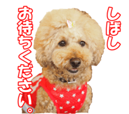 Lingurifan sticker #14199264