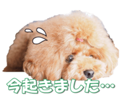 Lingurifan sticker #14199265