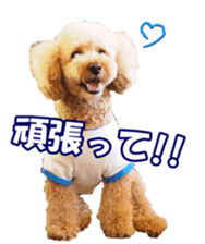 Lingurifan sticker #14199266