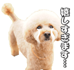 Lingurifan sticker #14199267