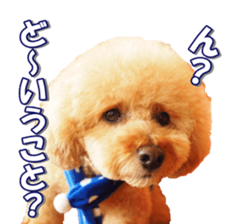 Lingurifan sticker #14199268