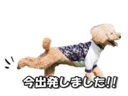 Lingurifan sticker #14199269