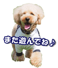 Lingurifan sticker #14199270