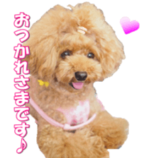 Lingurifan sticker #14199271