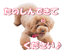 Lingurifan sticker #14199272