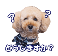 Lingurifan sticker #14199274