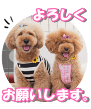 Lingurifan sticker #14199276