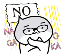 This is Nagaoka sticker #14201497