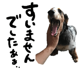 Shisyamo is my family. sticker #14201561