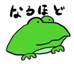 Cat & frog 15 sticker #14201912