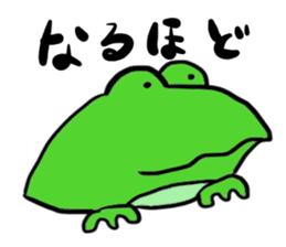Cat & frog 15 sticker #14201912