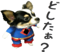 tyms sunbust sticker #14202007