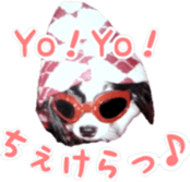 tyms sunbust sticker #14202009