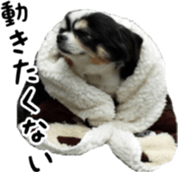 tyms sunbust sticker #14202013