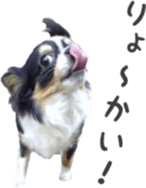 tyms sunbust sticker #14202014