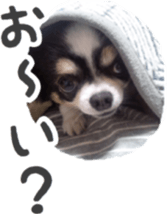 tyms sunbust sticker #14202018