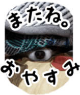 tyms sunbust sticker #14202020