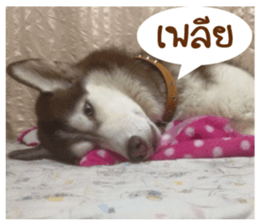 Maya Hushy sticker #14202026