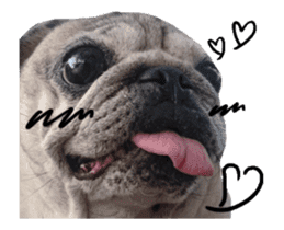 Pug-Make money (Animated Stickers) sticker #14203038