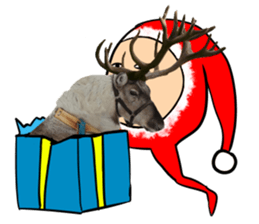 kata-asi-santa sticker #14203388