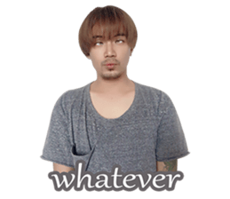 Si QiBe sticker #14204257