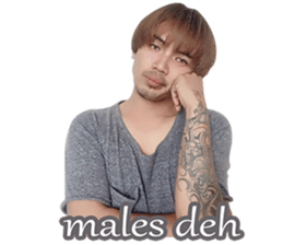 Si QiBe sticker #14204259