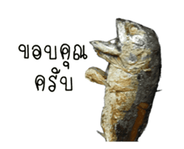 Thai Mackerel Attack!!! sticker #14204728