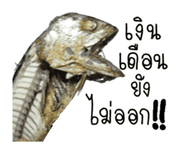 Thai Mackerel Attack!!! sticker #14204730