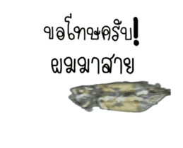 Thai Mackerel Attack!!! sticker #14204731