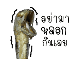 Thai Mackerel Attack!!! sticker #14204733