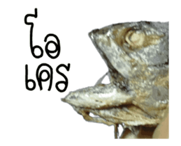 Thai Mackerel Attack!!! sticker #14204741