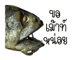 Thai Mackerel Attack!!! sticker #14204743