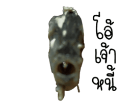 Thai Mackerel Attack!!! sticker #14204745